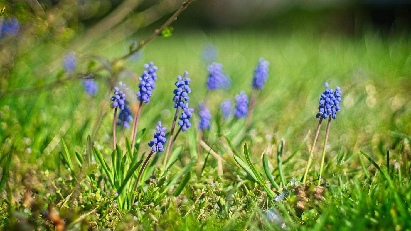 Bild ohne Beschreibung