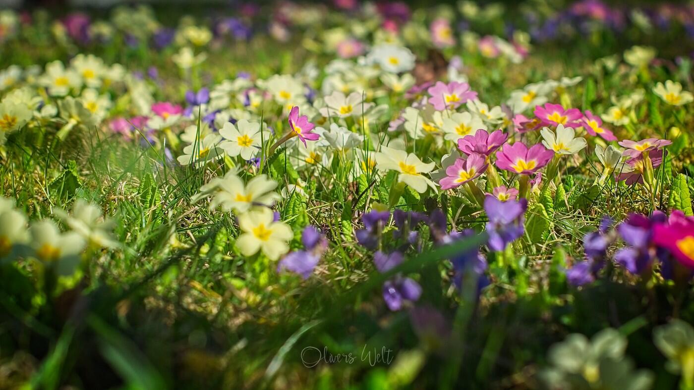 Bild ohne Beschreibung