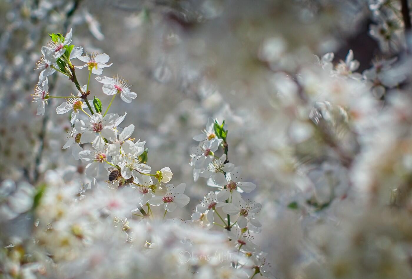 Bild ohne Beschreibung
