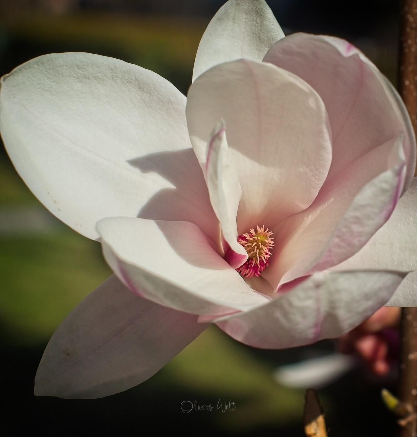 Bild ohne Beschreibung