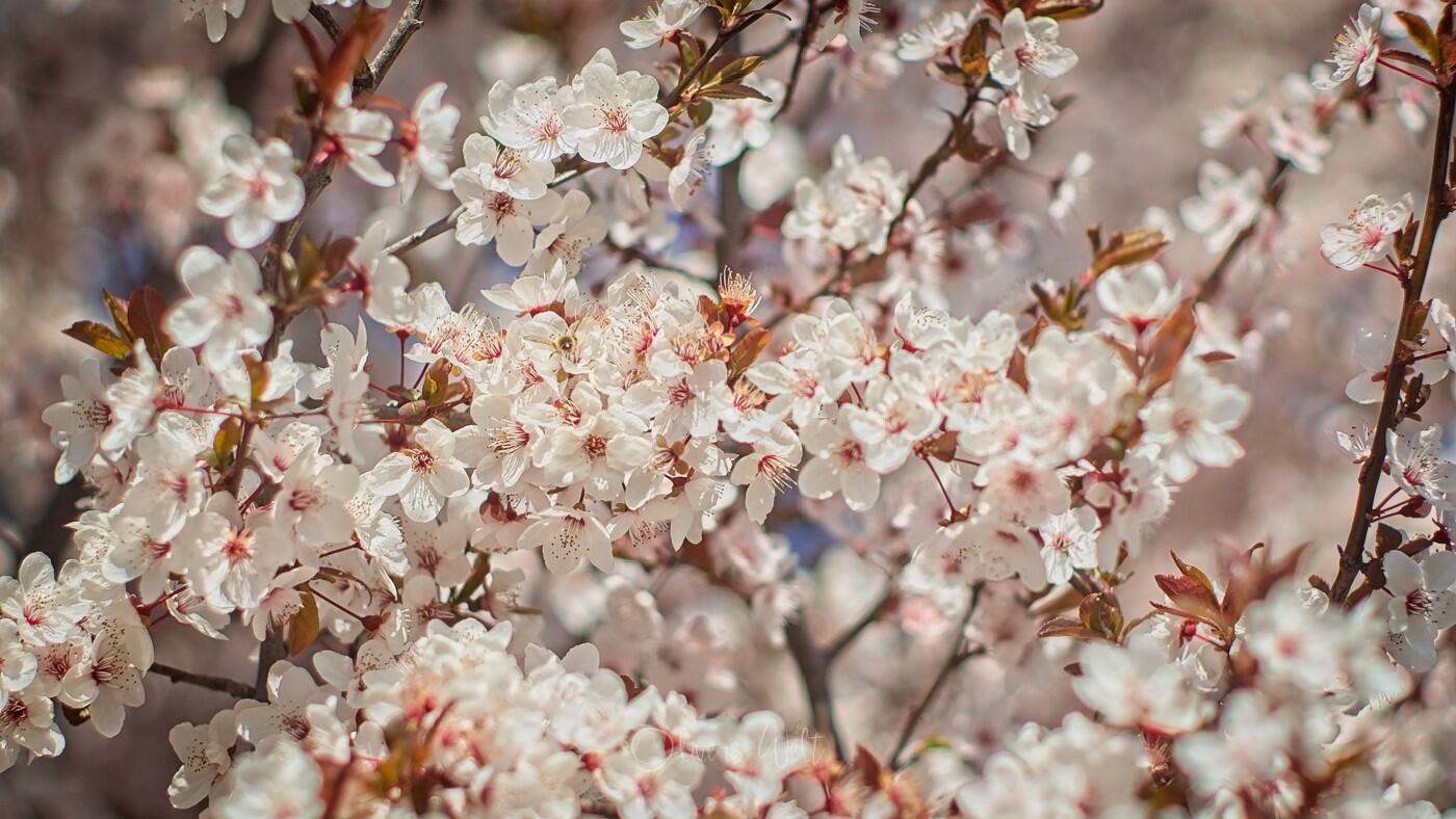 Bild ohne Beschreibung