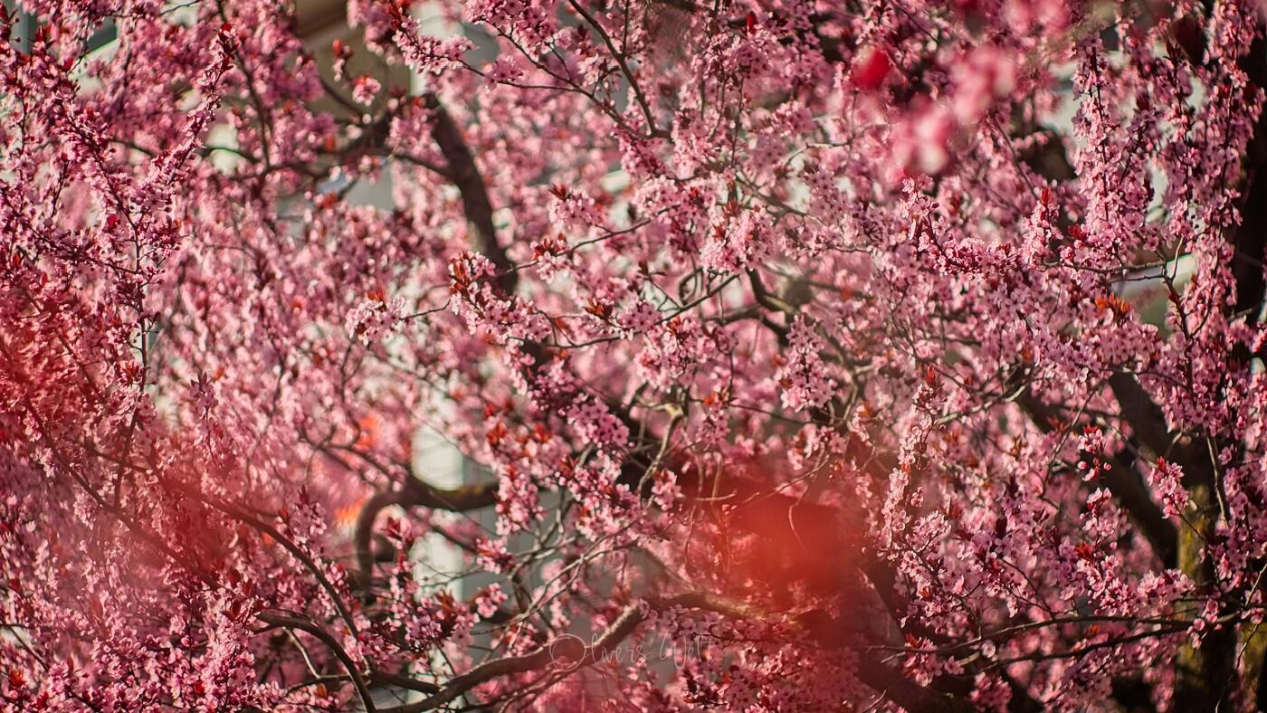 Bild ohne Beschreibung