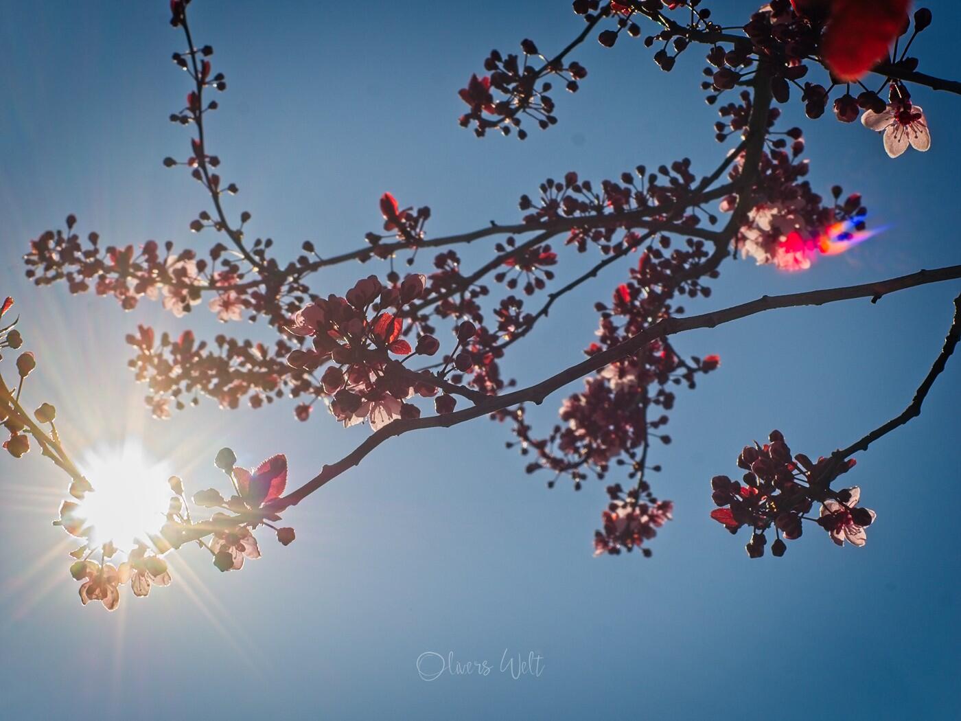 Bild ohne Beschreibung