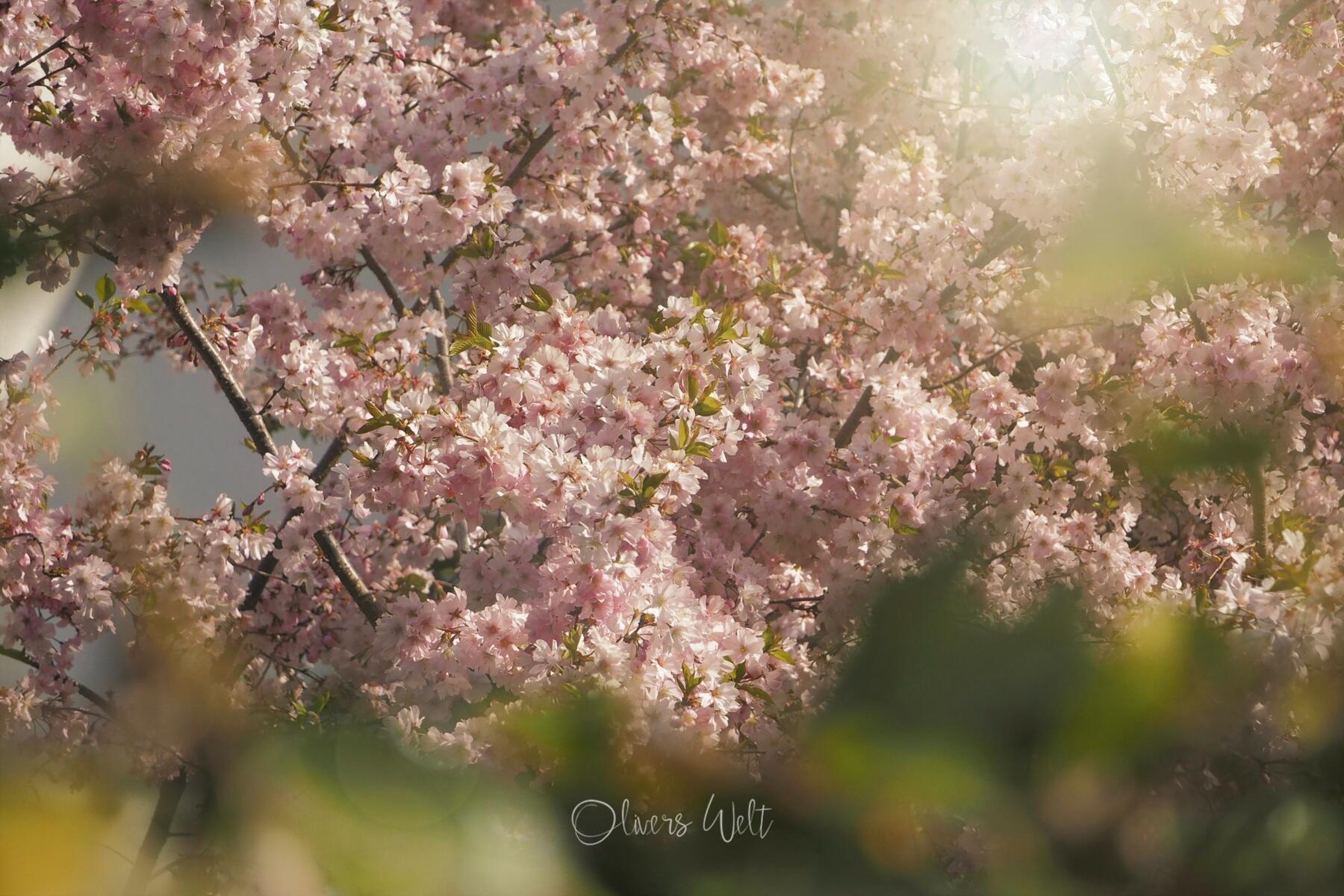 Bild ohne Beschreibung Bild ohne Beschreibung