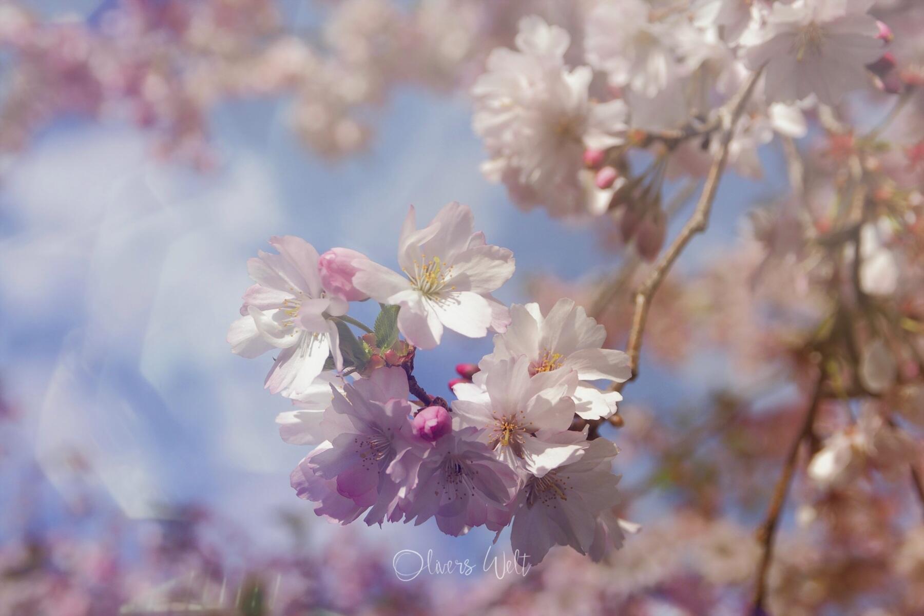 Bild ohne Beschreibung Bild ohne Beschreibung