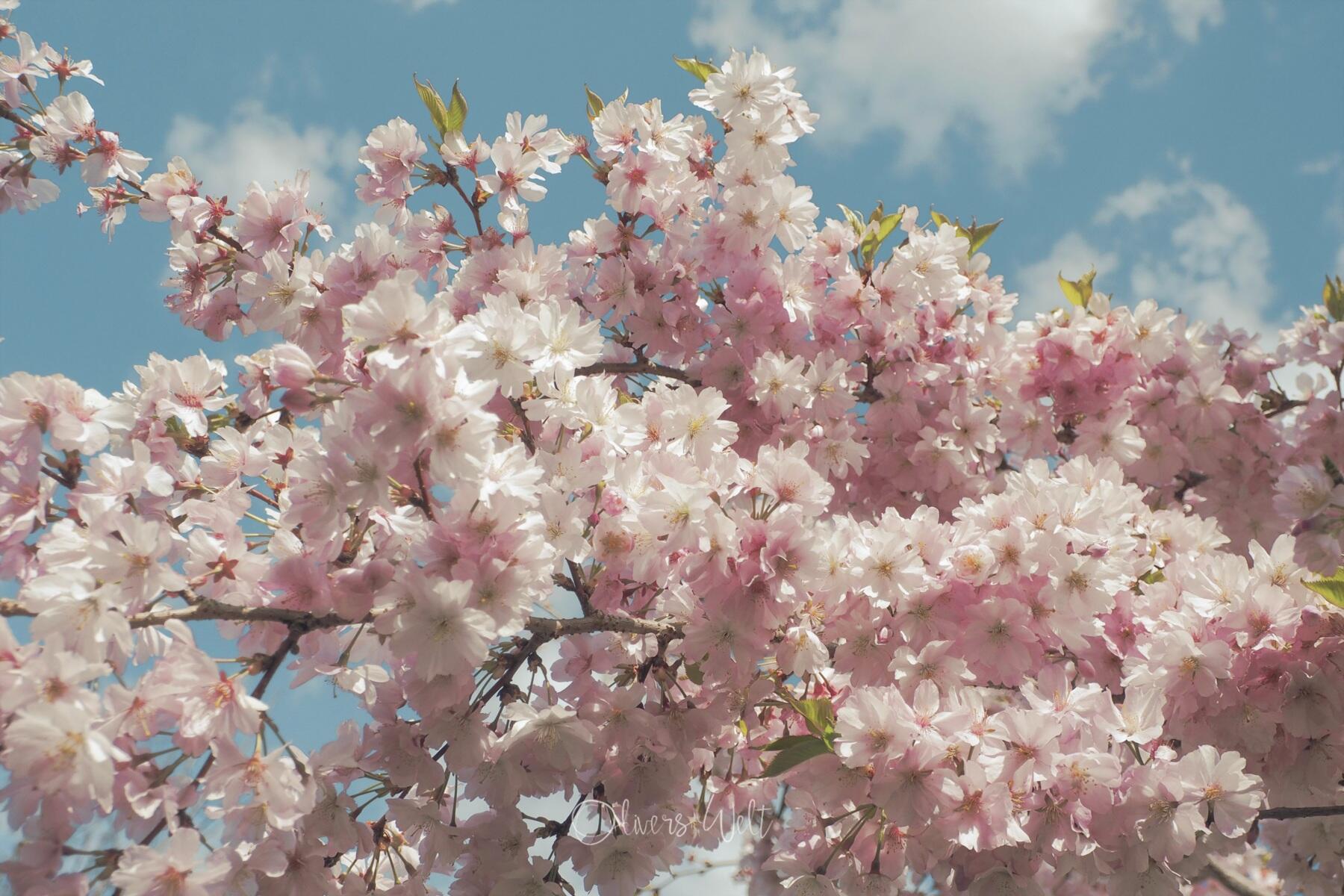 Bild ohne Beschreibung Bild ohne Beschreibung