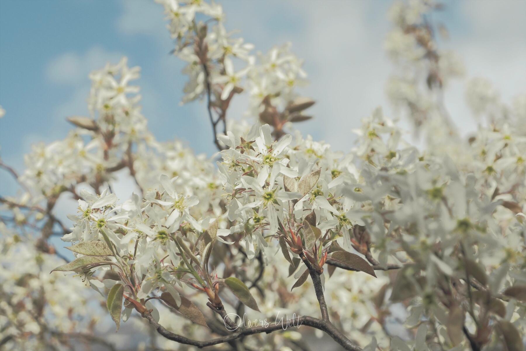 Bild ohne Beschreibung Bild ohne Beschreibung