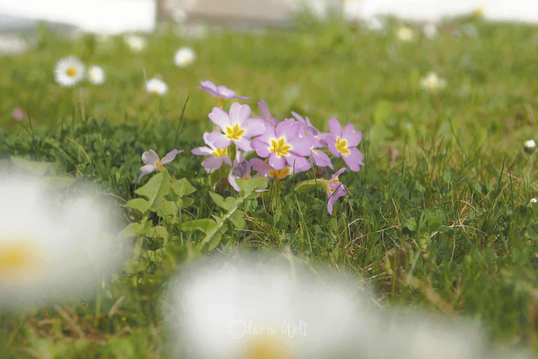 Bild ohne Beschreibung Bild ohne Beschreibung