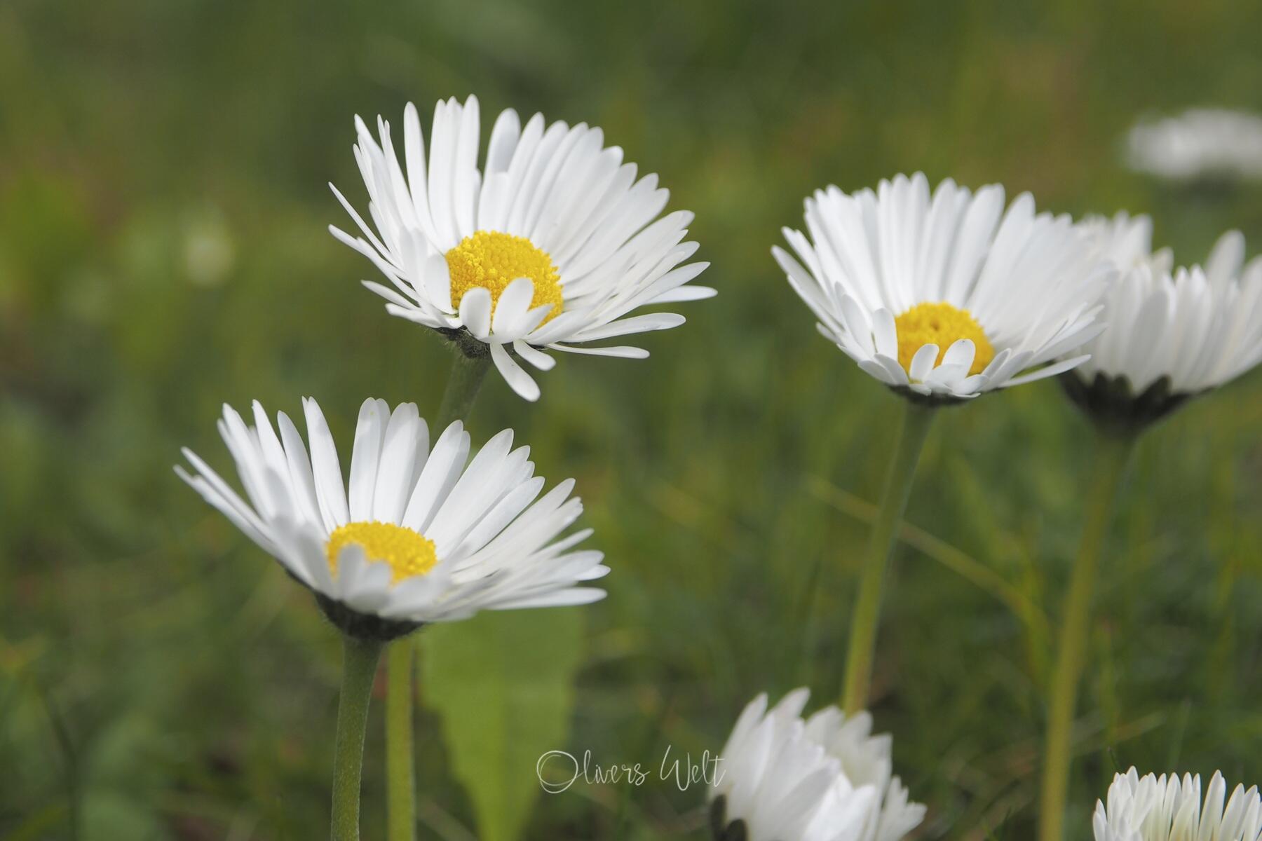 Bild ohne Beschreibung Bild ohne Beschreibung
