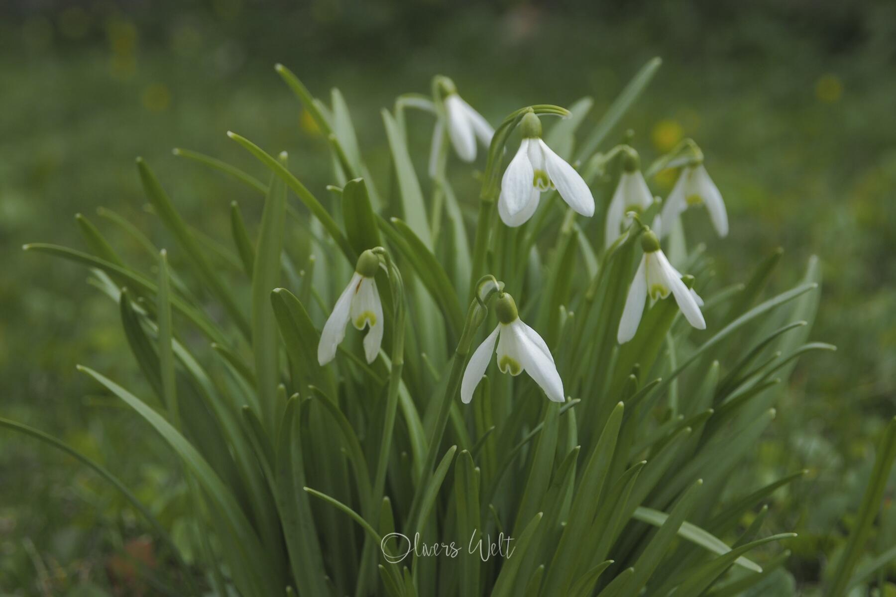 Bild ohne Beschreibung Bild ohne Beschreibung