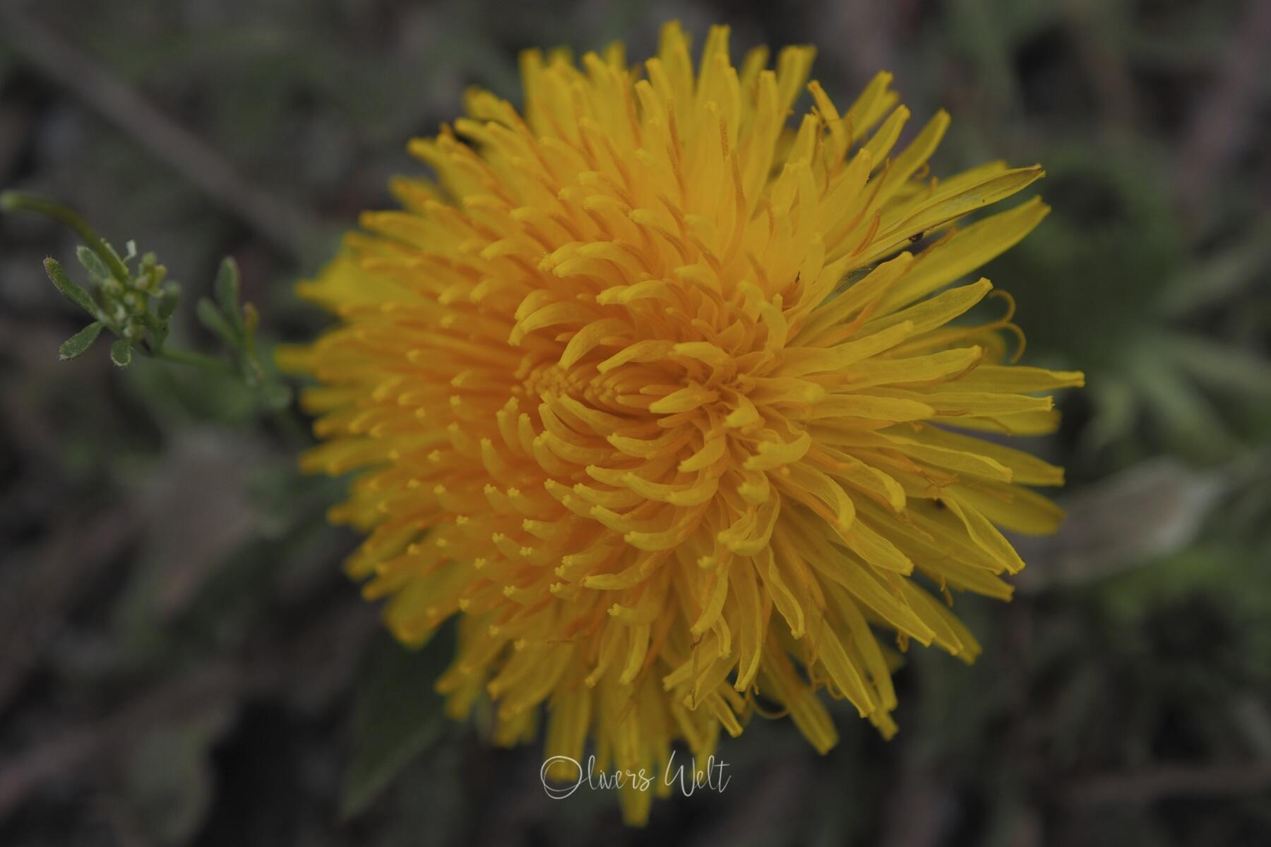 Bild ohne Beschreibung Bild ohne Beschreibung