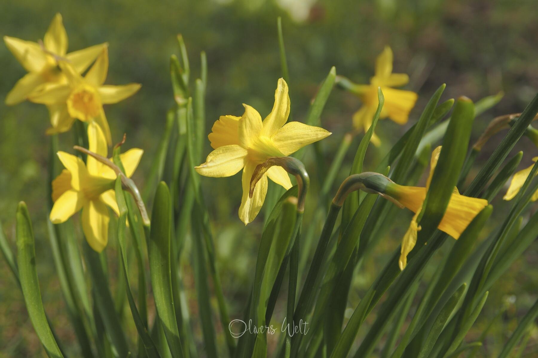 Bild ohne Beschreibung Bild ohne Beschreibung