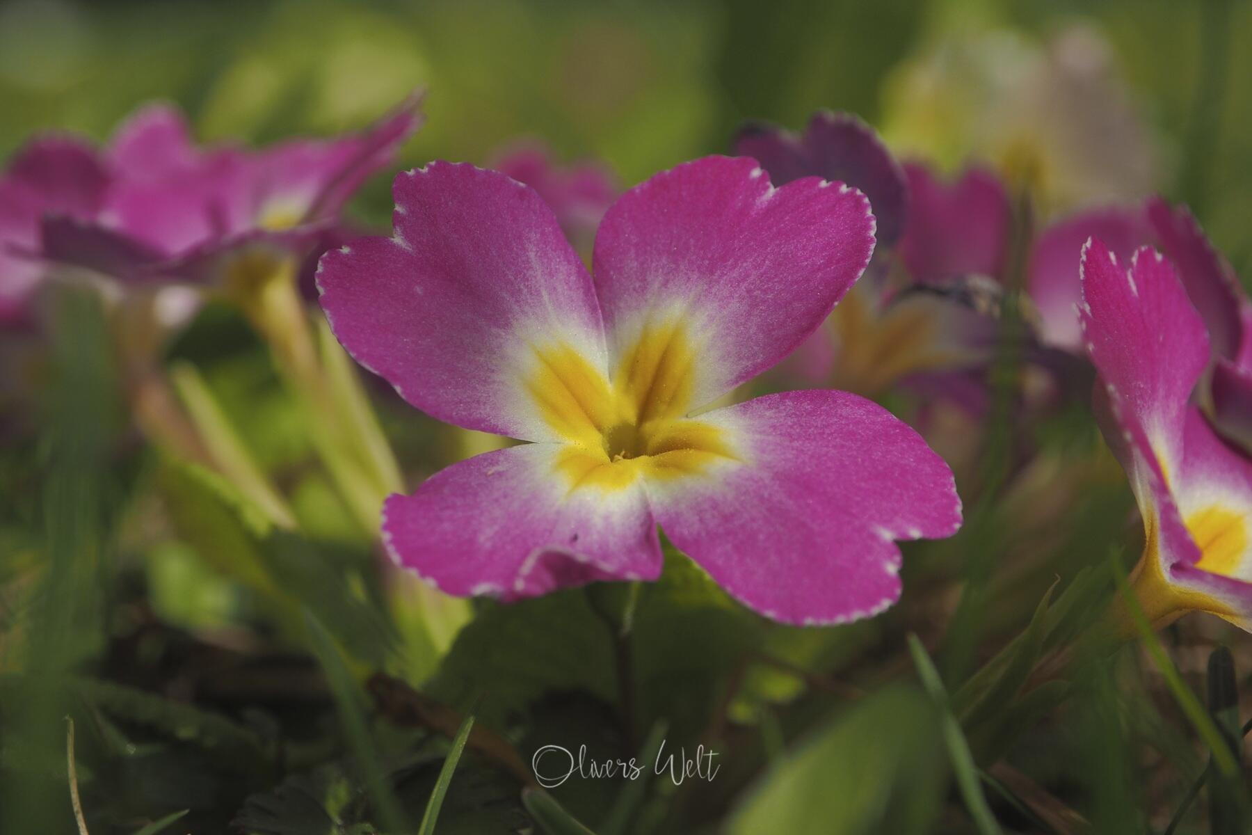 Bild ohne Beschreibung Bild ohne Beschreibung