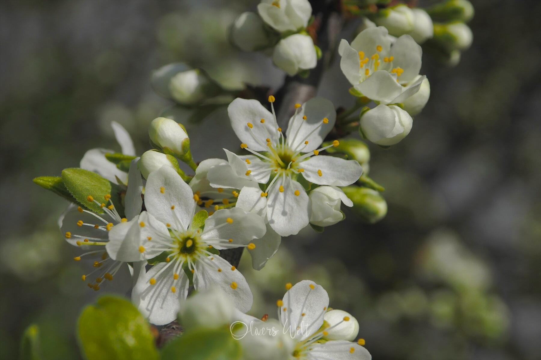 Bild ohne Beschreibung Bild ohne Beschreibung