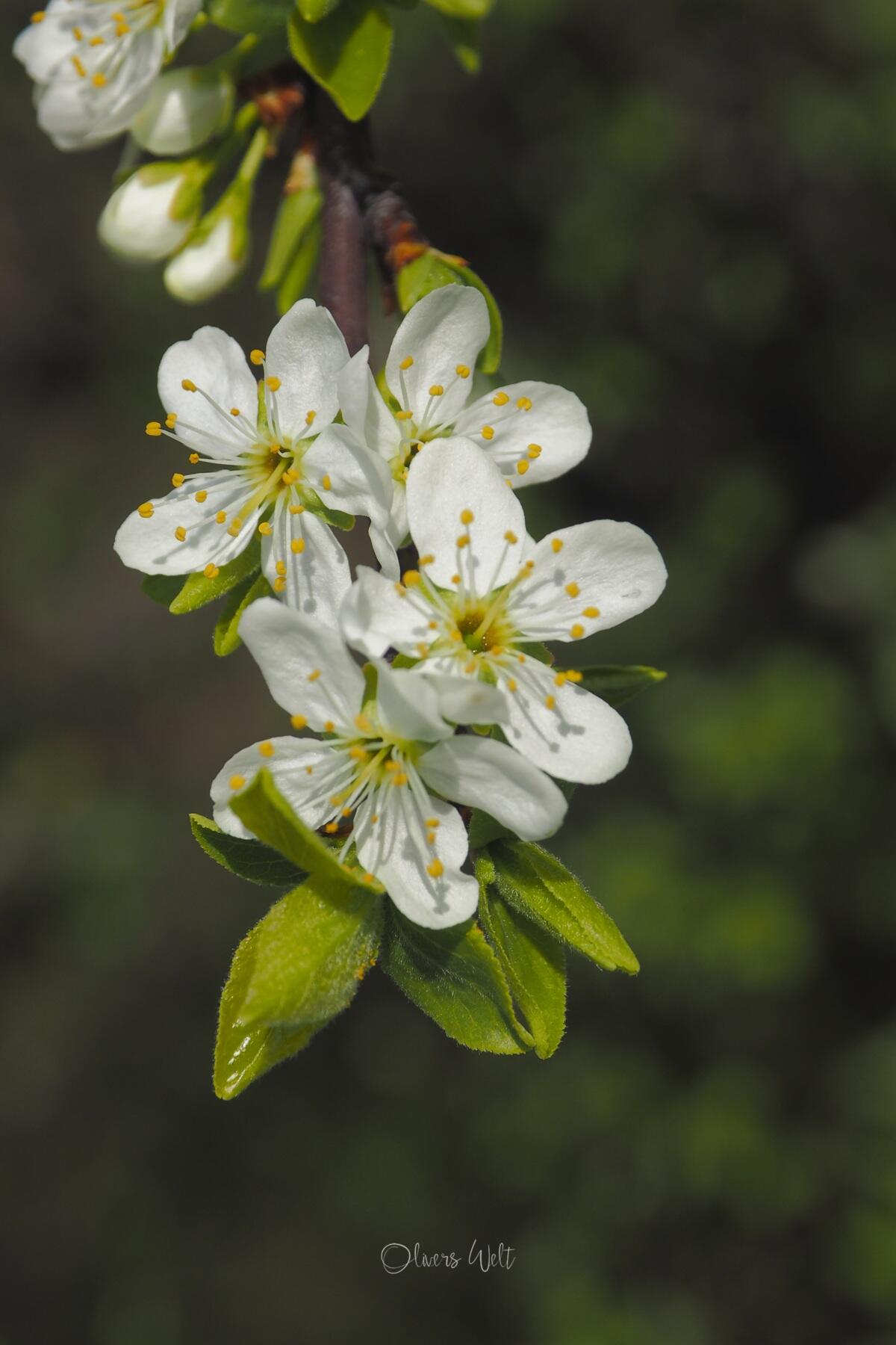 Bild ohne Beschreibung Bild ohne Beschreibung