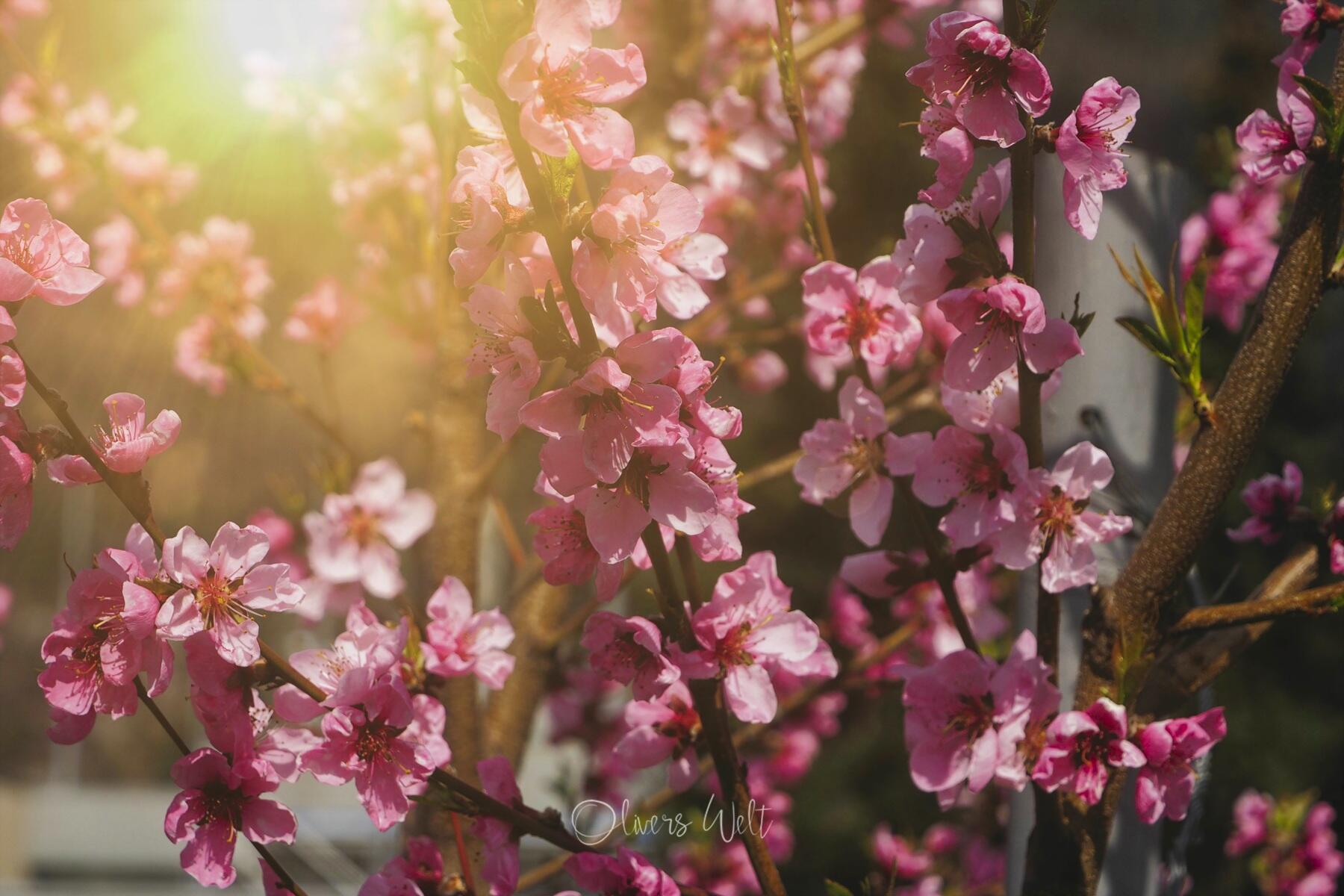 Bild ohne Beschreibung Bild ohne Beschreibung