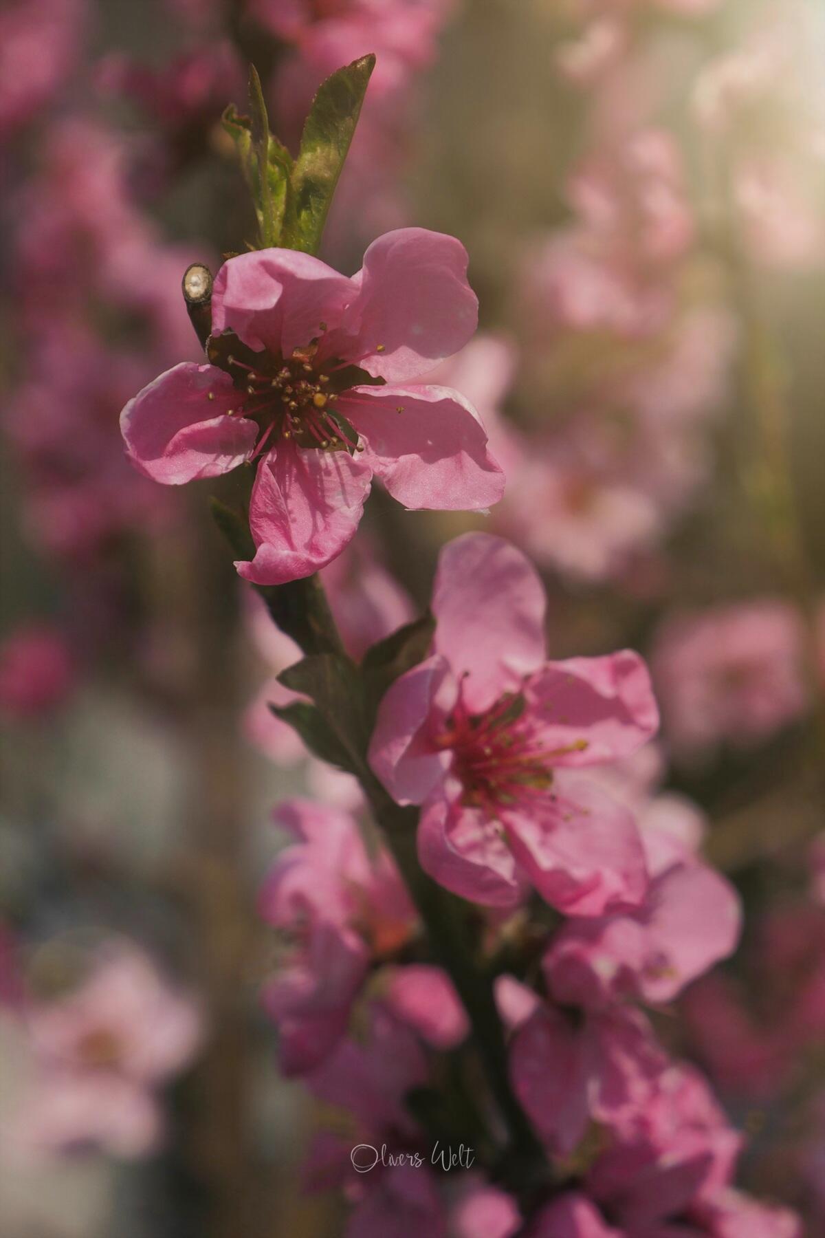 Bild ohne Beschreibung Bild ohne Beschreibung