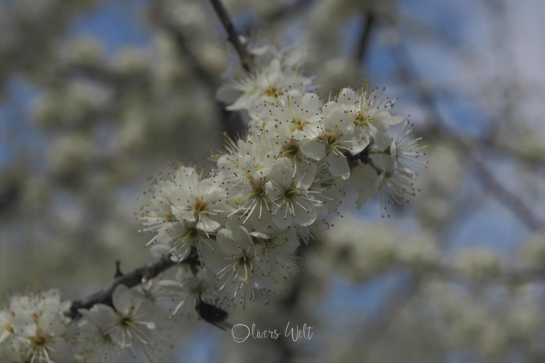 Bild ohne Beschreibung Bild ohne Beschreibung