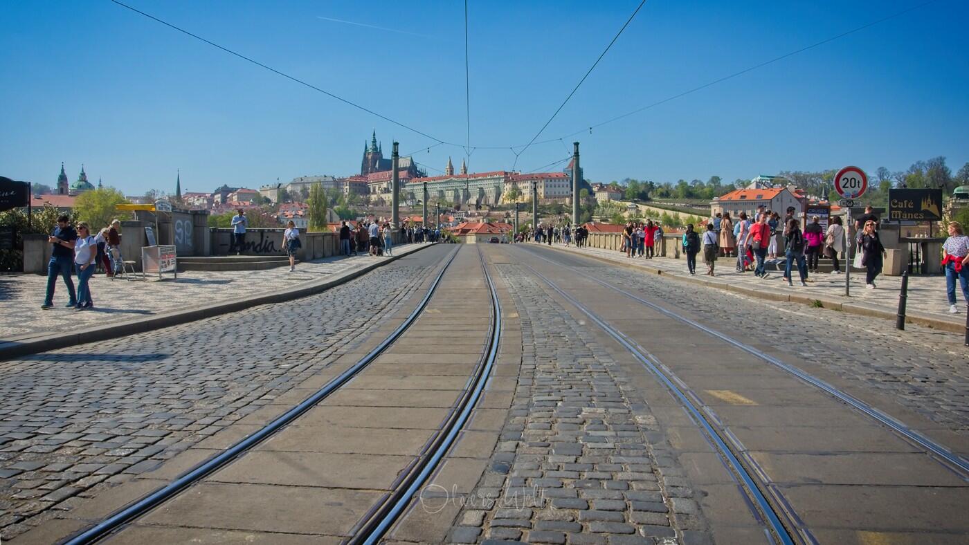 Bild ohne Beschreibung