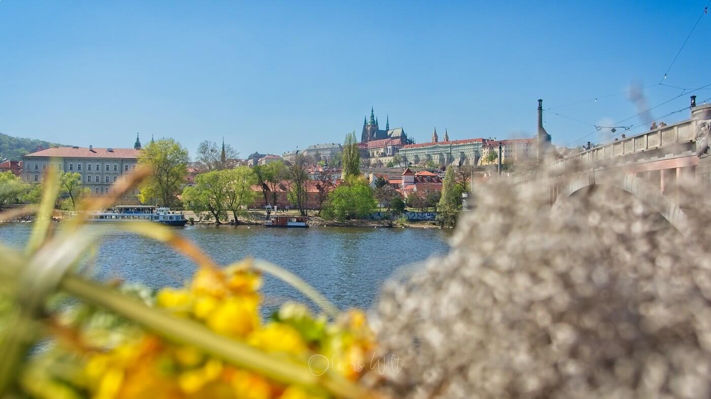 Bild ohne Beschreibung