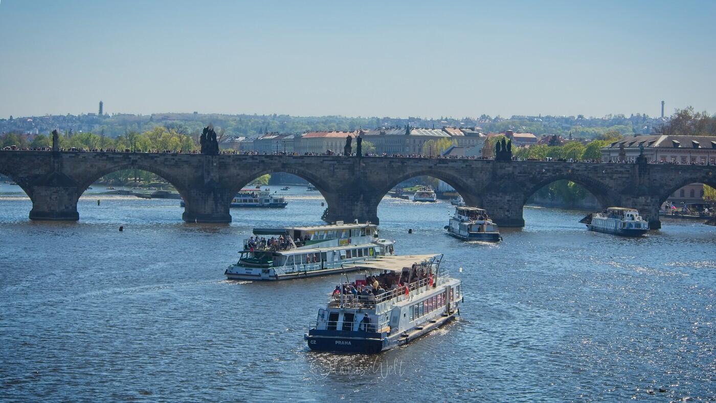 Bild ohne Beschreibung