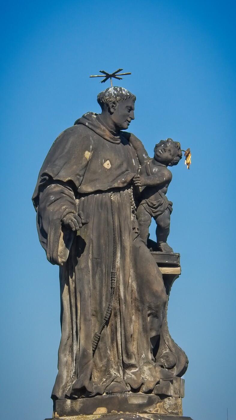 Bild ohne Beschreibung