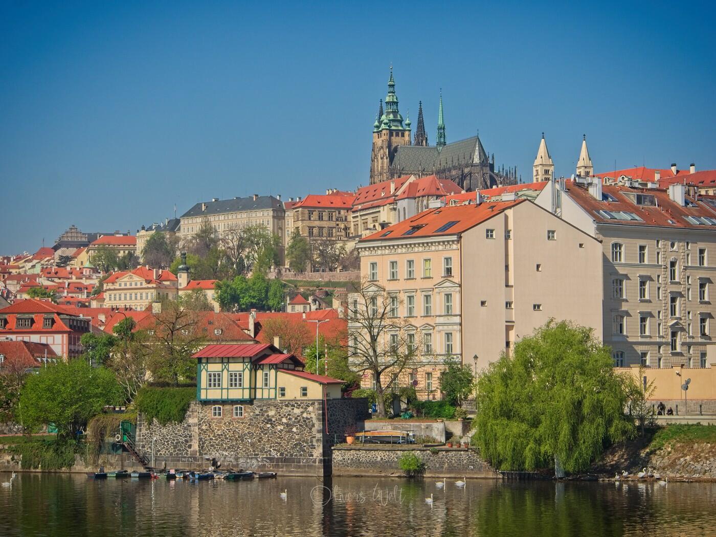 Bild ohne Beschreibung