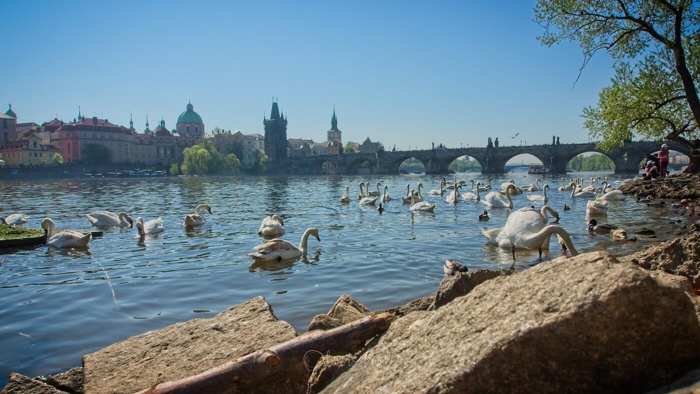 Bild ohne Beschreibung