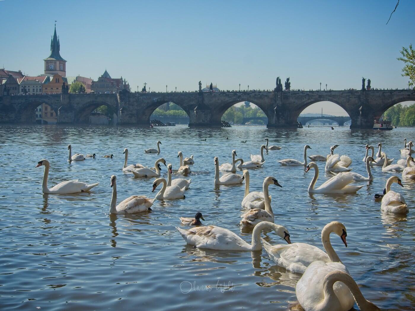 Bild ohne Beschreibung