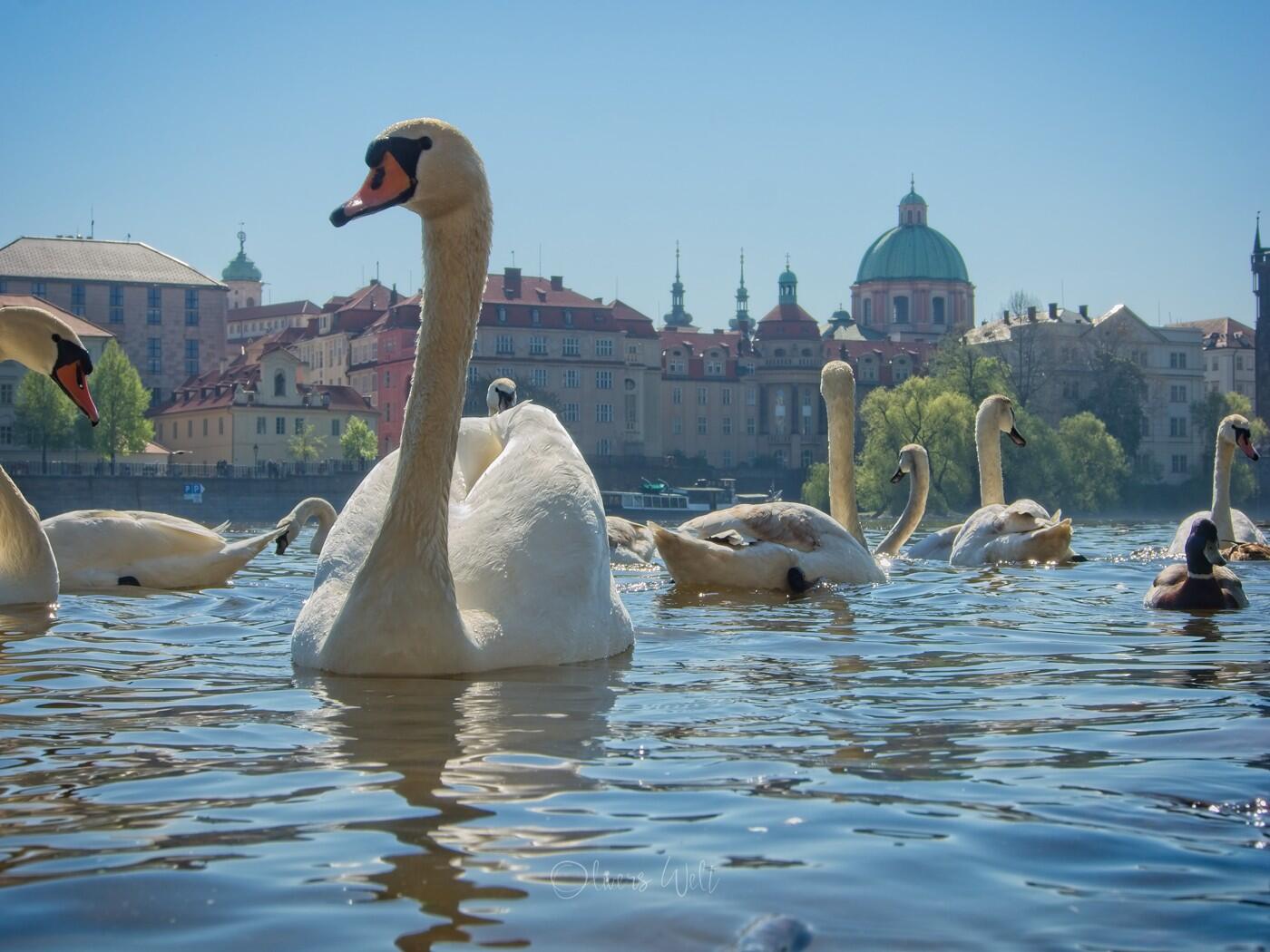 Bild ohne Beschreibung