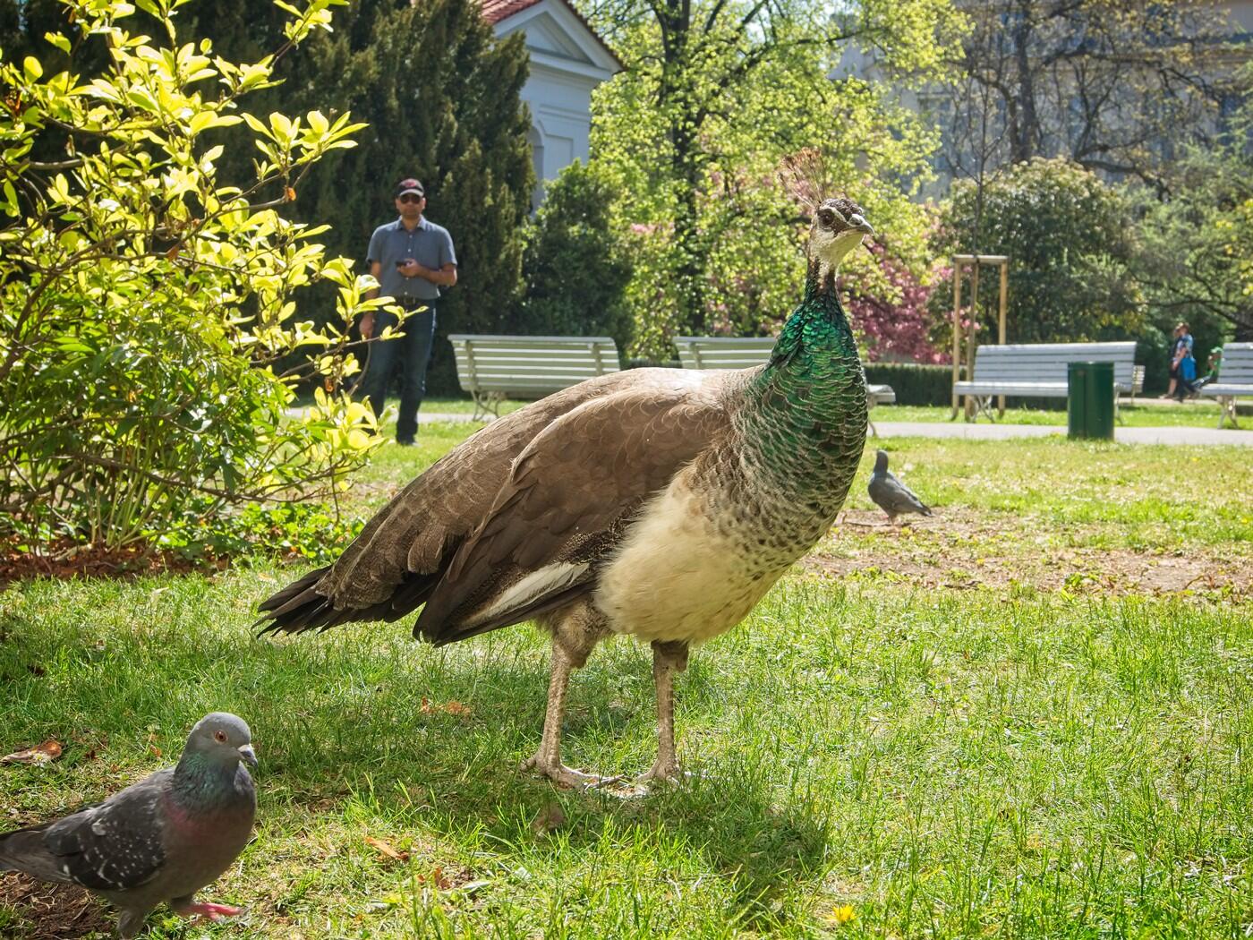 Bild ohne Beschreibung