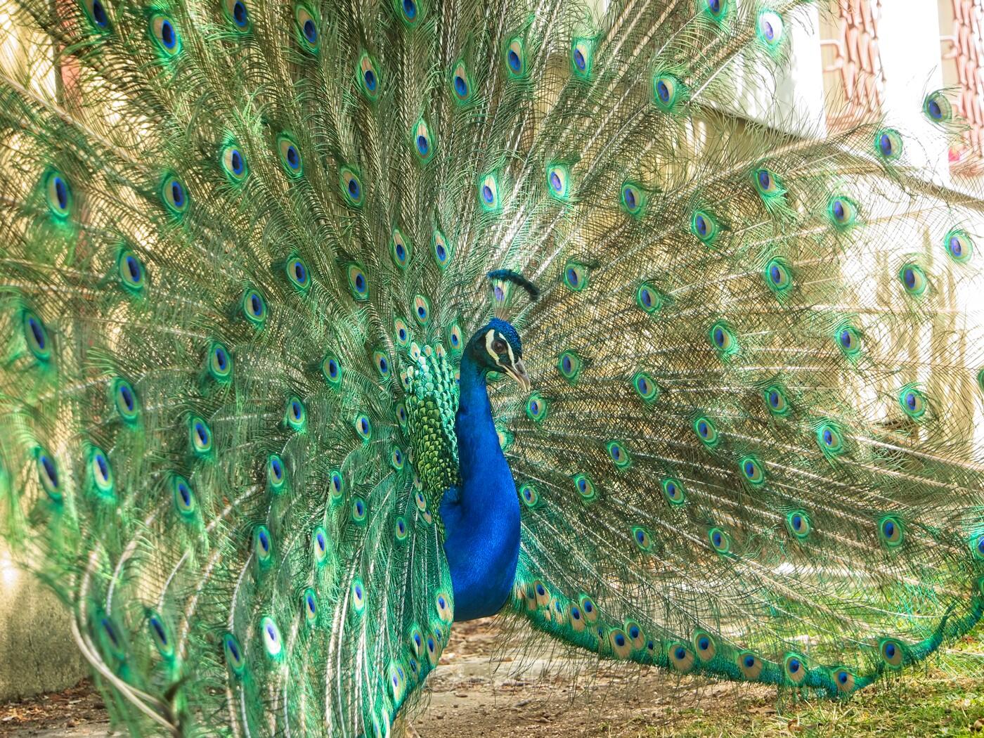 Bild ohne Beschreibung