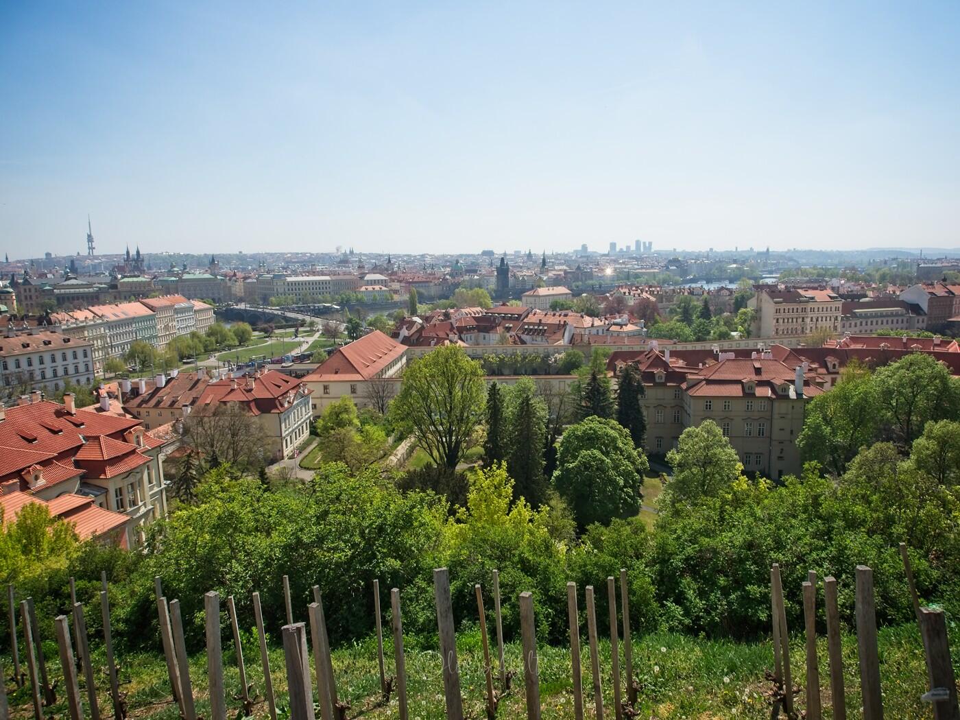 Bild ohne Beschreibung