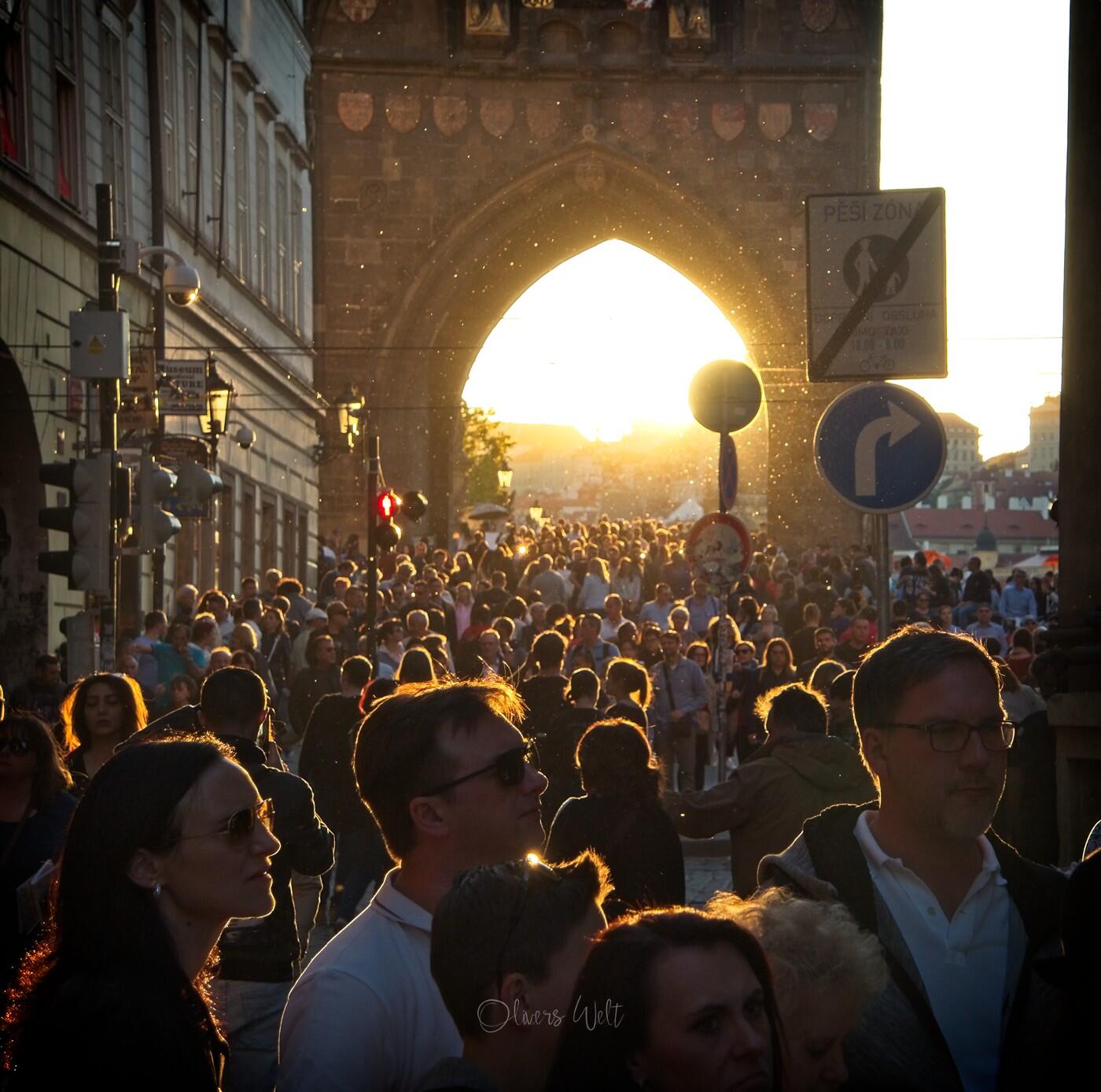 Bild ohne Beschreibung