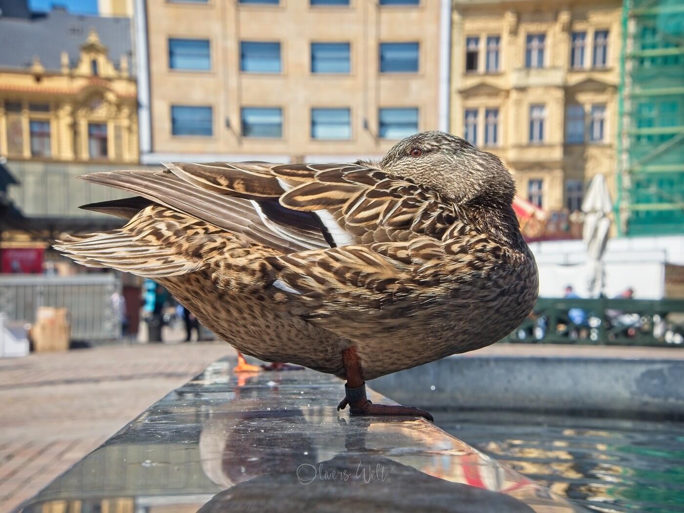 Bild ohne Beschreibung