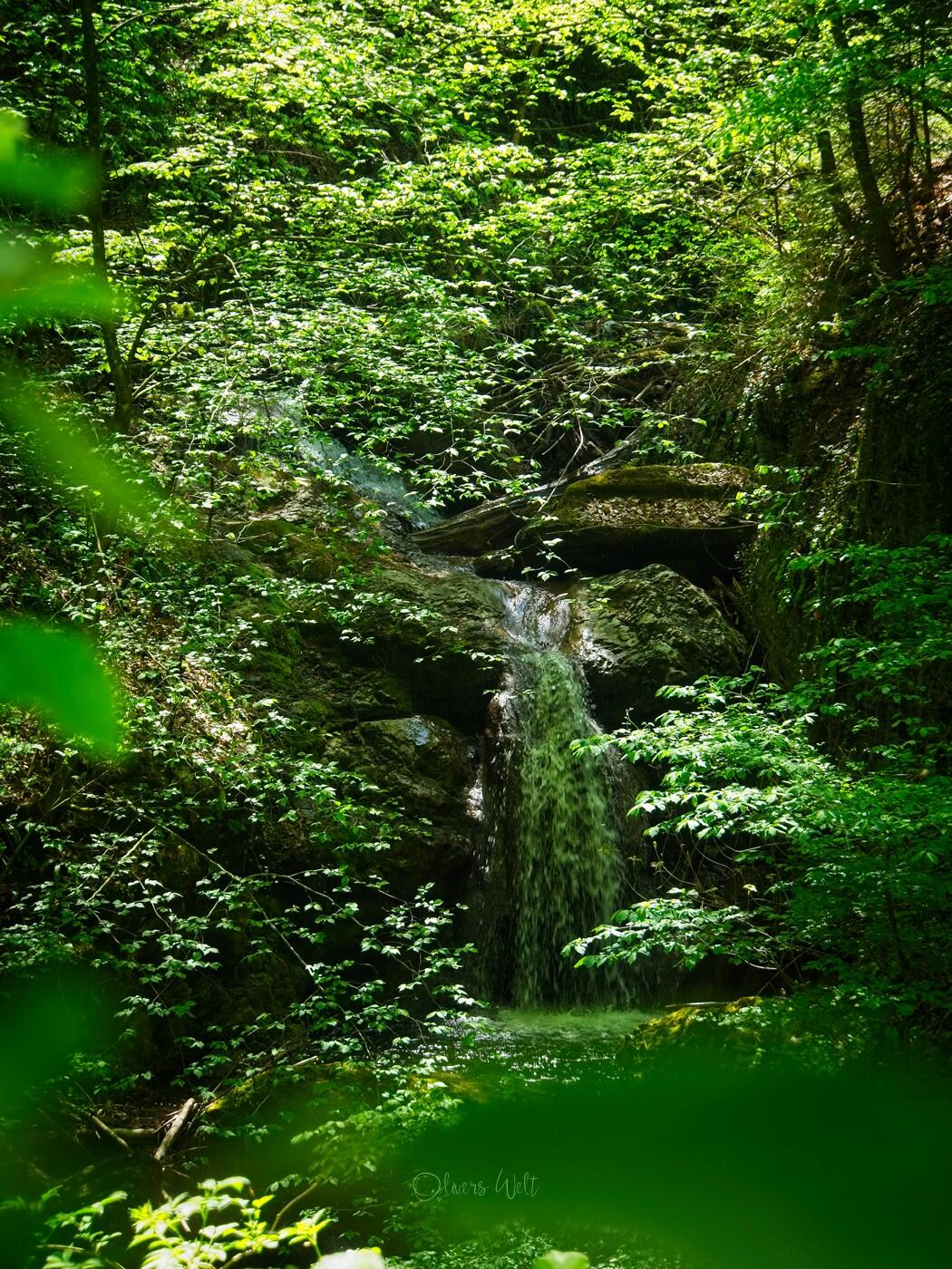 Bild ohne Beschreibung