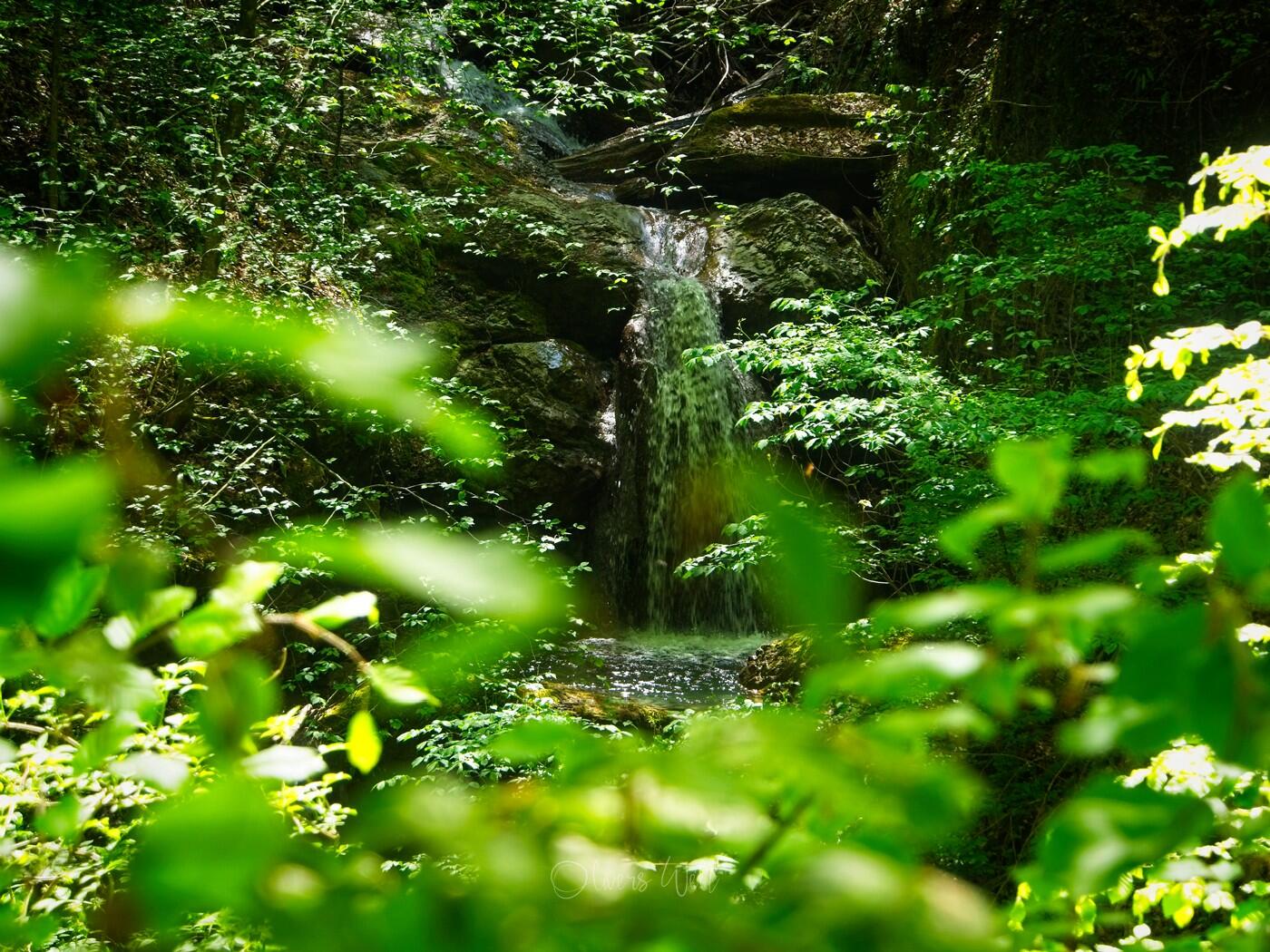 Bild ohne Beschreibung