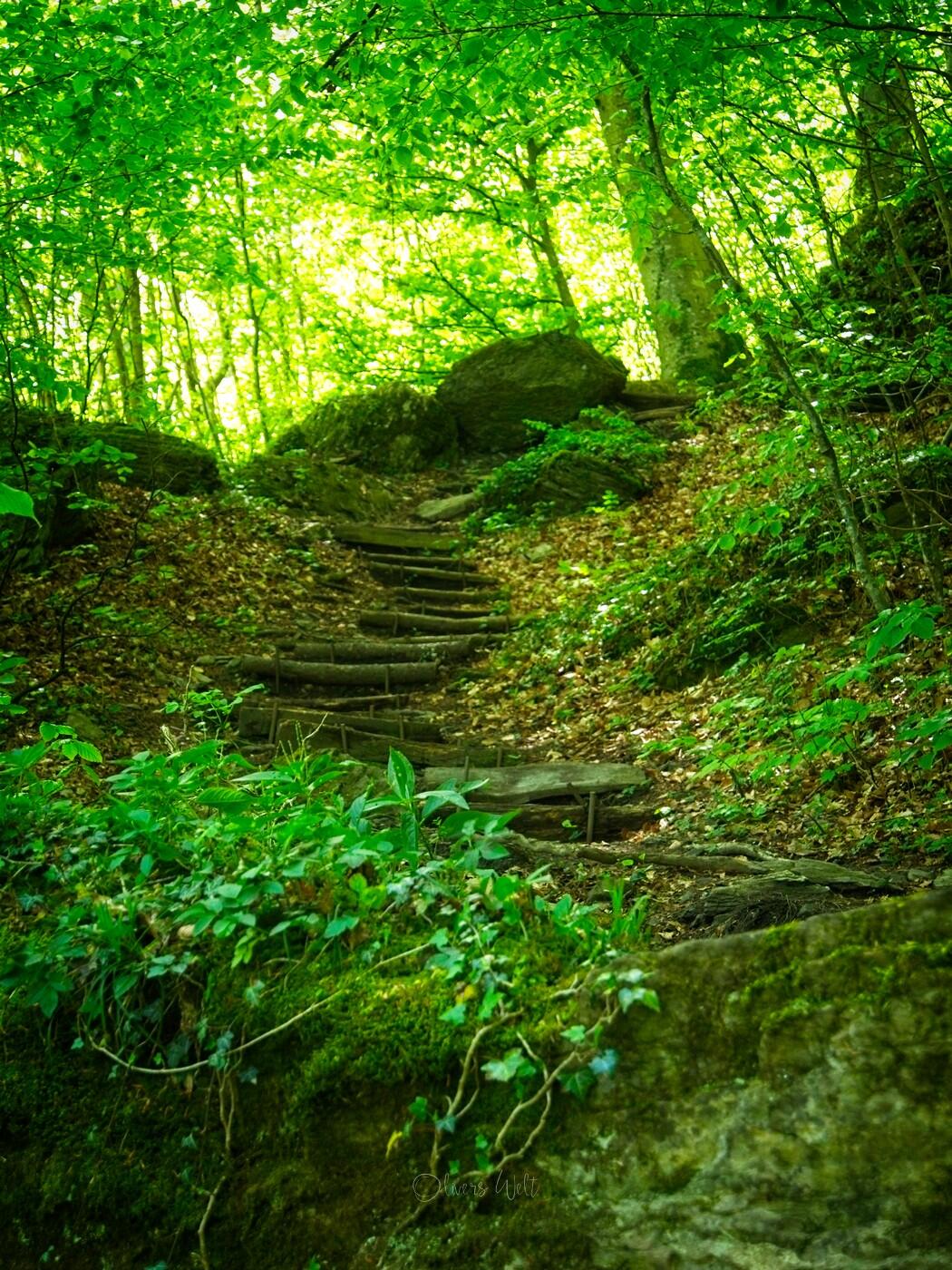 Bild ohne Beschreibung