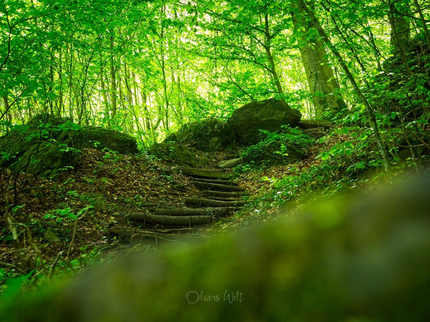 Bild ohne Beschreibung