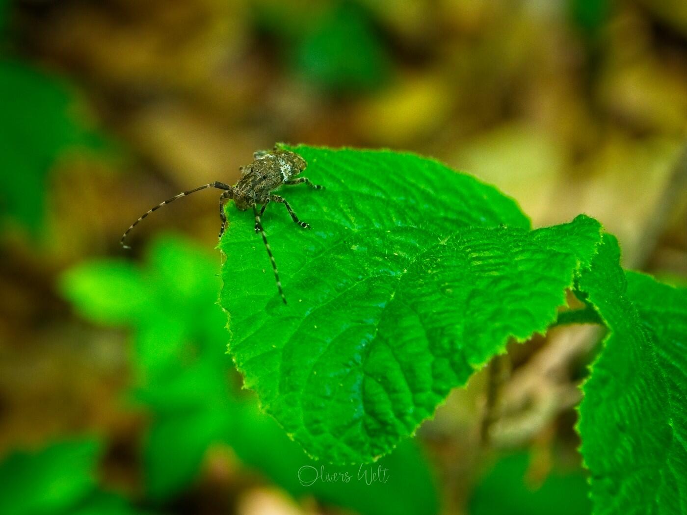 Bild ohne Beschreibung