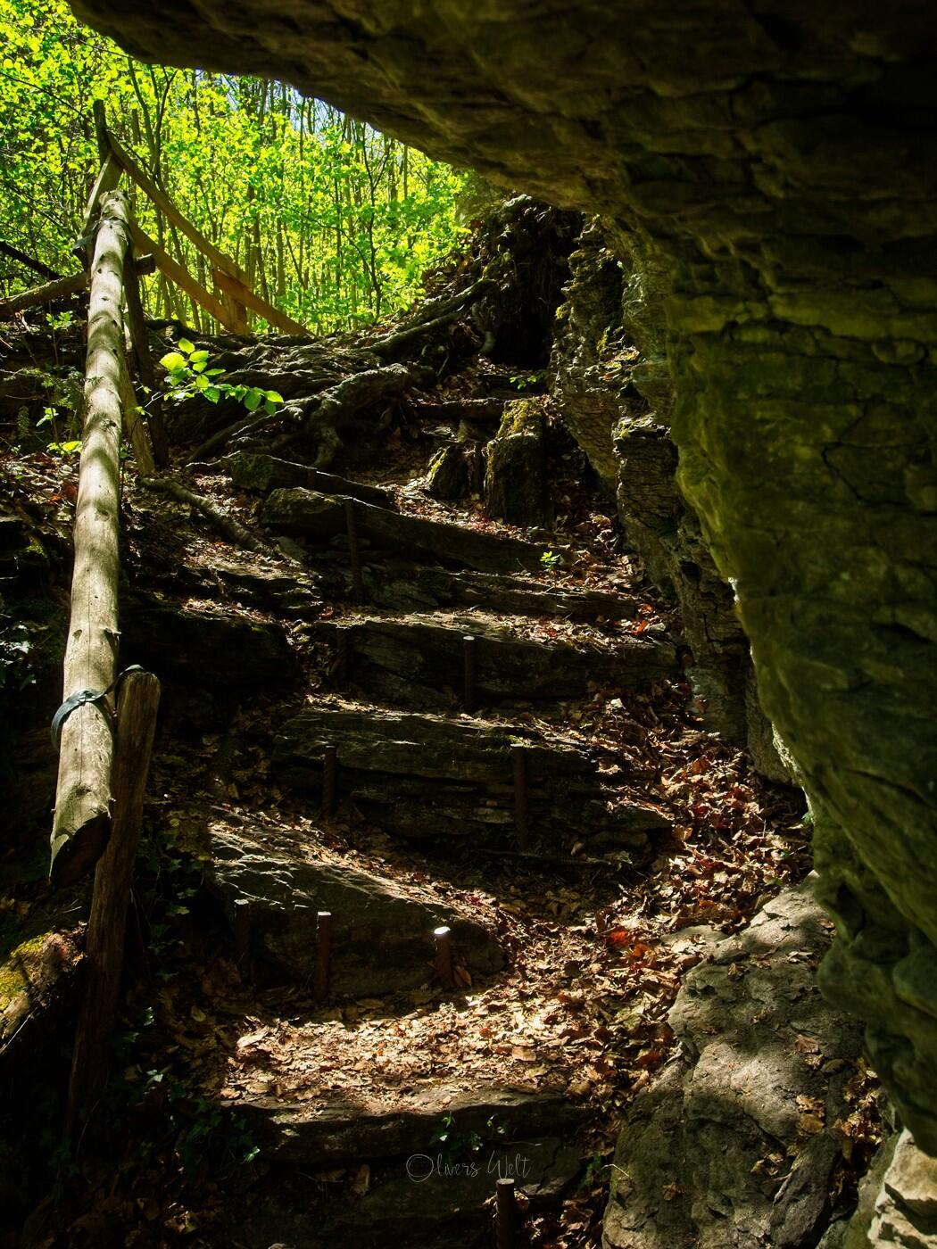 Bild ohne Beschreibung