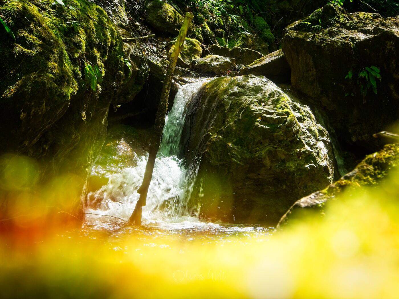 Bild ohne Beschreibung