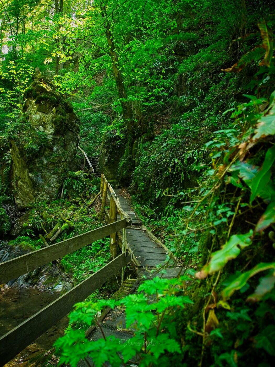 Bild ohne Beschreibung