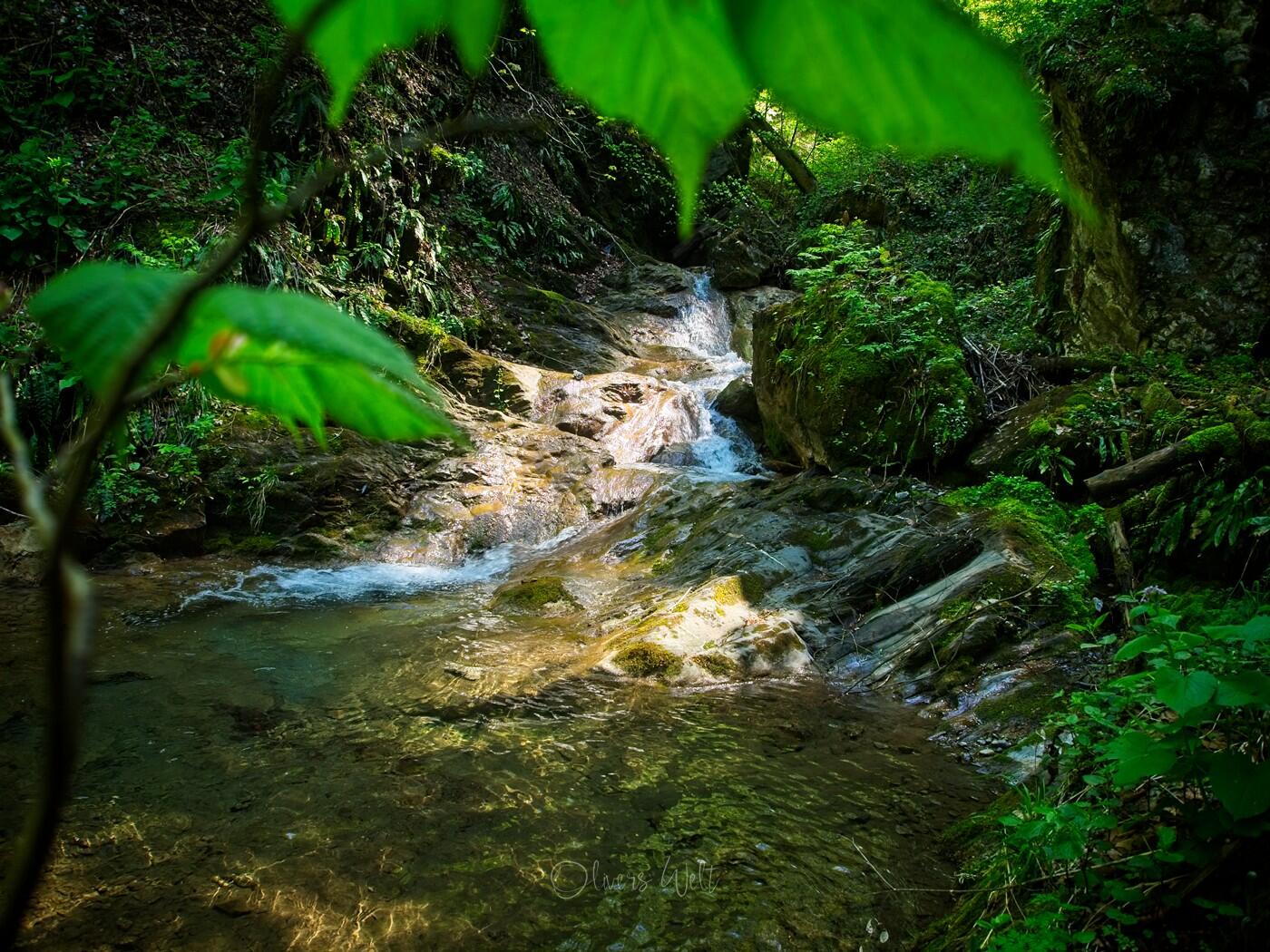 Bild ohne Beschreibung