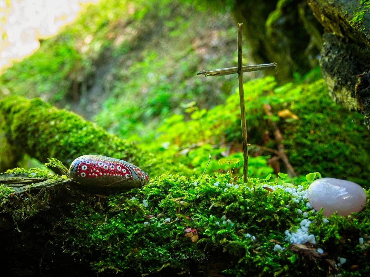 Bild ohne Beschreibung