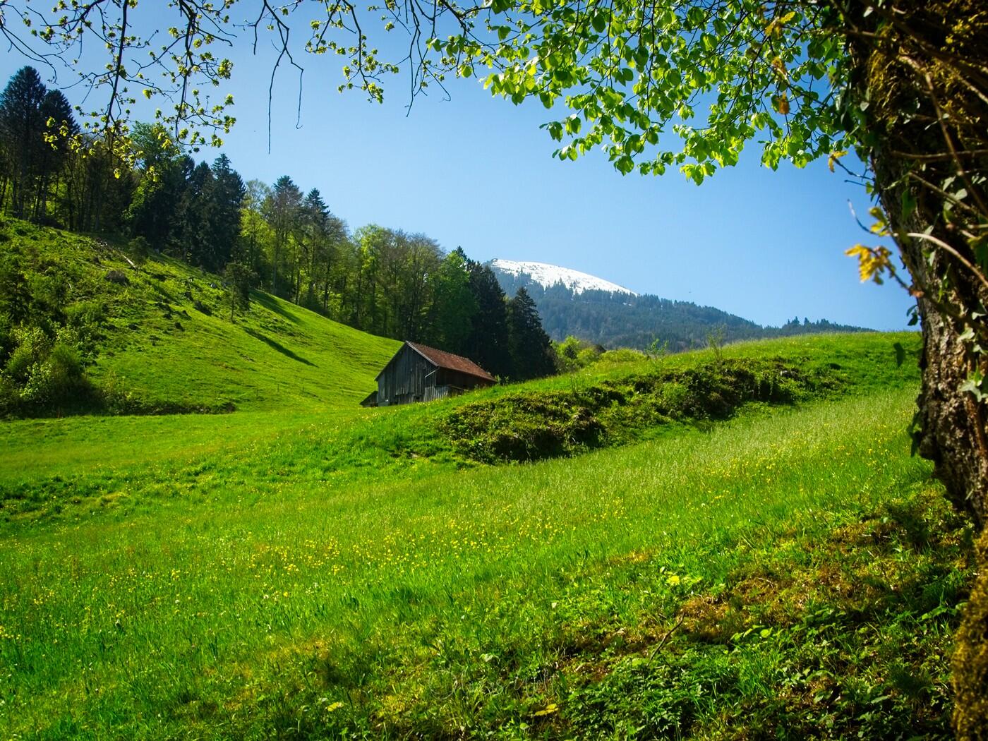 Bild ohne Beschreibung