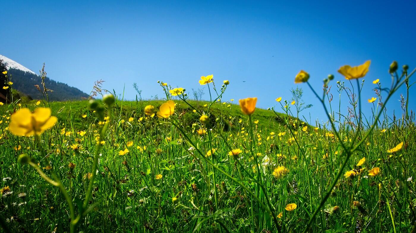 Bild ohne Beschreibung