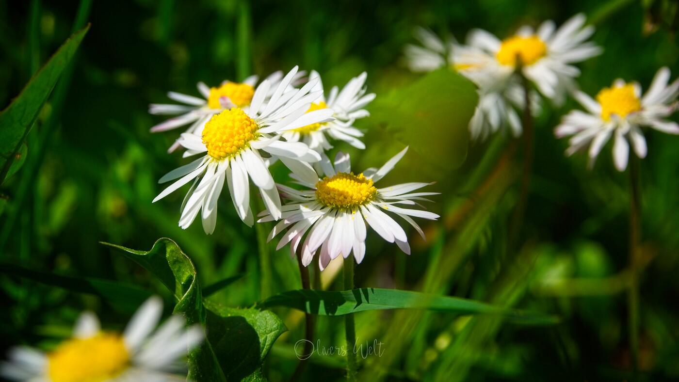 Bild ohne Beschreibung