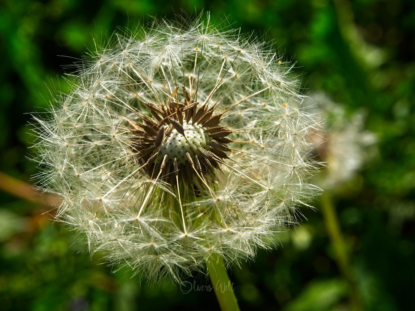 Bild ohne Beschreibung