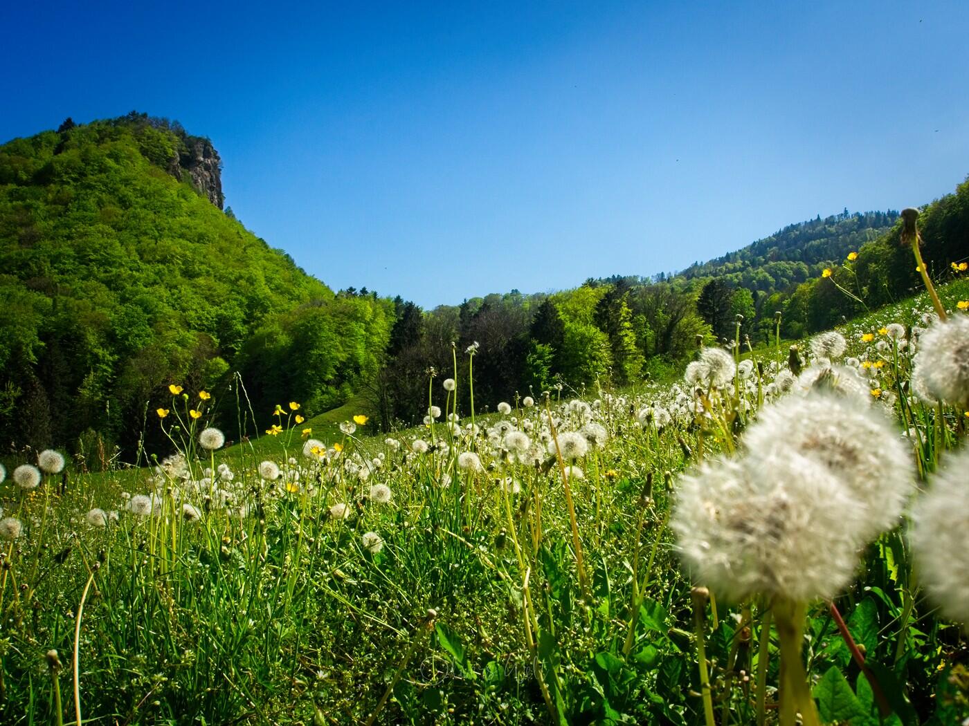 Bild ohne Beschreibung